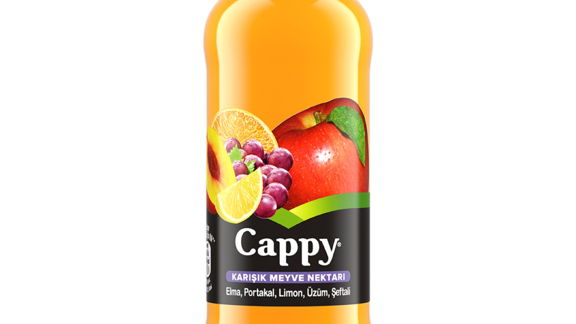 CAPPY KARIŞIK MEYVE SUYU(CAM ŞİŞE)